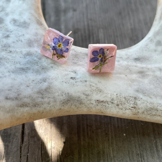 Liten rosa kvadrat med förgätmigej